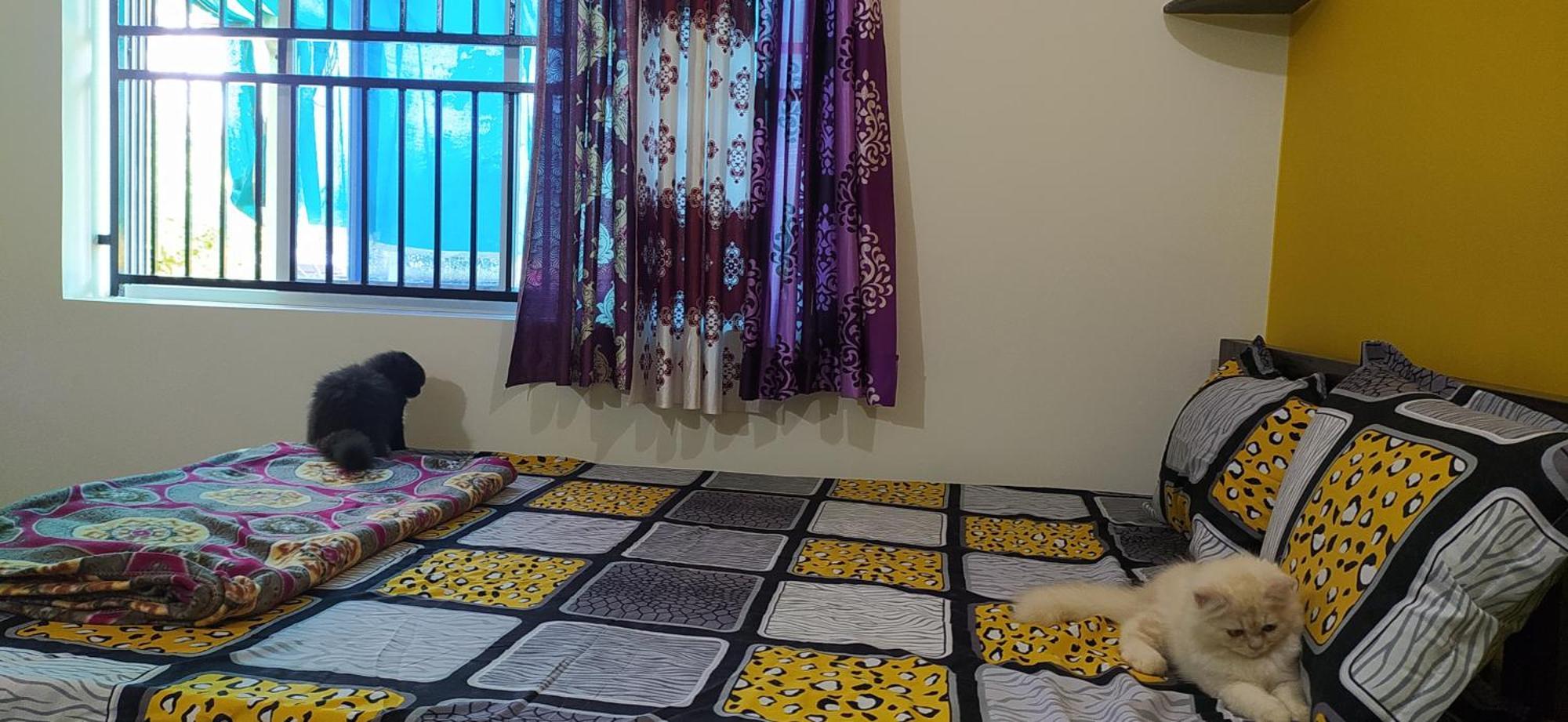 Ratnakar Arundekar Home Stay In Beach Side Ac Room Gokarna  Exterior photo